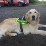 Addio a Zoe, la cagnolona dei Vigili del Fuoco che scavò tra le macerie del Ponte Morandi