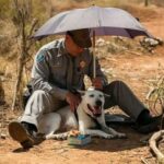 Trooper trova una cagnolina stremata sul ciglio della strada e resta con lei sotto un ombrello