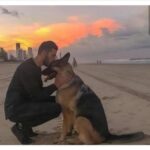 Cani esclusi da spiagge e mezzi pubblici, ma indispensabili quando c’è da salvare una vita