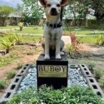 Buboy aspettò per settimane il professor Marcelo: poi lo accompagnò nell’ultimo saluto