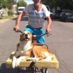 Prepara un posto sulla bicicletta per portare sempre con sé il suo cagnolino