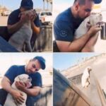 L’ultimo viaggio di Mace: il cane malato di cancro saluta la famiglia con un giro in auto