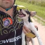 Cucciola trovata sola sul ciglio della strada, un uomo si ferma e la porta con sé