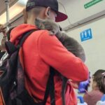 Sul Tren Sarmiento viaggia con il cane in braccio: la scena attira l’attenzione dei passeggeri