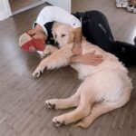 La compagna riporta il cane al rifugio, lui la lascia e riprende Frankie