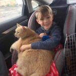 Easton va al rifugio per un gattino, ma adotta un gatto di 10 anni