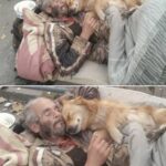 La loro casa è stare insieme: il legame tra un uomo e il suo cane