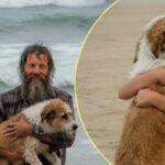 «Non so nuotare, salvate il mio cane»: un senzatetto si tuffa e recupera Bella
