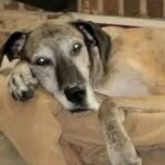 Cinque anni di paura alle spalle, Ethel impara finalmente a fidarsi
