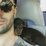 Trova un cucciolo tremante sul bordo della strada: da quel momento diventano inseparabili