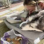 L’ultimo saluto a Chloé: «Non eri solo il mio cane, eri il mio rifugio»