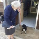 A 80 anni cerca un cane anziano: adotta quello abbandonato sull’autostrada
