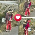 Bambina porta il suo cagnolino nel carrellino: la scena conquista chi li incontra