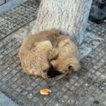 Dormiva al freddo con un pezzo di pane accanto, oggi ha una casa
