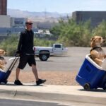 Asfalto rovente in Arizona, mette il cane in un frigo portatile per proteggergli le zampe