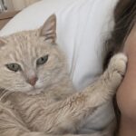 Perle resta per undici giorni sul letto della sua padrona in cure palliative