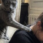 Olive sale ogni sera sulla poltrona del padrone morto e resta accanto alla vedova