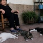 Rimasta sola dopo la morte del marito, accoglie tre gattini trovati nel cortile