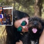 Creta, una randagia difende una turista e due settimane dopo viene cercata e adottata