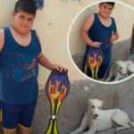 Mauco, 9 anni, vende il suo regalo di Natale per curare un cane ferito