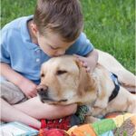 Gavin, 7 anni, ritrova fiducia grazie a Elmer: il cane trasforma la terapia in gioco