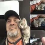 Dopo 17 anni con Cooter, quattro mesi di vuoto: poi è arrivata Sasha