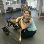 Le zampe posteriori sono paralizzate, ma il cane torna finalmente a muoversi