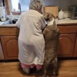 Dopo la morte del nonno temeva che restasse sola: poi arrivò Buddy