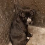 Cherry torna sempre dietro le sbarre, ma continua ad aspettare qualcuno