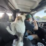 Sale in macchina verso la nuova casa e guarda tutto come se fosse la prima volta