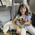 Al canile una bambina lo guarda e dice subito: “È lui”