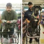 Sette anni fa era un cucciolo nel carrello: oggi è ancora lì accanto a lui