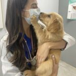 Ore di paura fuori dalla sala operatoria, poi il veterinario dice: “Ce l’ha fatta”