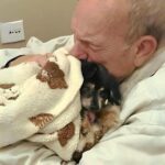 Dopo la festa arriva la febbre: pochi giorni dopo il suo papà deve dirgli addio