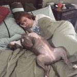 Il cane conquista il letto e il cuore di lei: il marito si sente ormai rimpiazzato