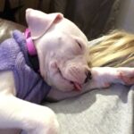 Dal tremore al sonno profondo: in pochi giorni la vita di questo cucciolo è cambiata