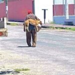 Lo vedono portare il cane in braccio sotto il sole: la sua risposta spiega tutto