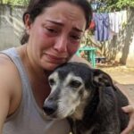Per due settimane scappava da ogni gesto: poi un giorno si avvicina e appoggia il muso sul suo braccio
