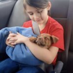 Sognava da tanto un cucciolo: durante il viaggio verso casa accade il momento più dolce