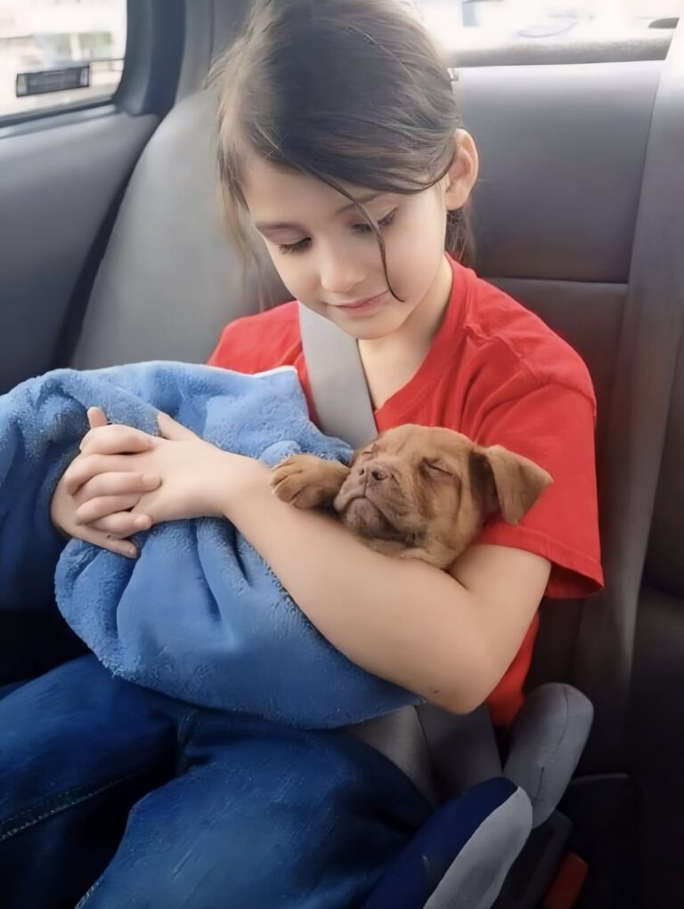 Dopo una lunga attesa, la bambina ha potuto finalmente stringere tra le braccia il cane che desiderava da tempo.