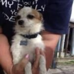 Pensava di aver trovato un gattino sotto il cassonetto, poi ha scoperto chi si nascondeva lì