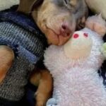 Charlie aveva un passato difficile: per aiutarlo, quell’uomo fece qualcosa che non aveva mai fatto, un maglione cucito solo per lui