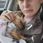 Bella si spegne tra le braccia della sua umana: l’ultimo viaggio insieme in macchina, “Grazie per avermi amata”