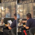 Piccoli bocconi e parole sottovoce: l’uomo e il cane che attirano l’attenzione di una cliente