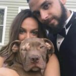 Accolgono un cane che ha perso un occhio: ora si sdraia accanto al loro figlio quando ha paura
