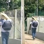 Porta il cane sulle spalle e gli fa ombra con un cartone sotto il sole di Campo Grande