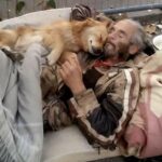 Senzatetto rinunciava al cibo per sfamare la sua cagnolina: una donna si è fermata ad aiutarli