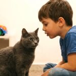 Tommaso non interagiva con gli altri, poi incontra Micio e qualcosa cambia