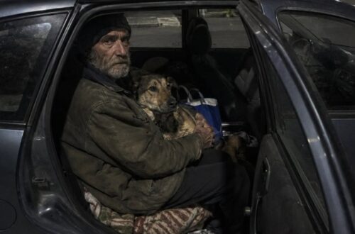 Claudio aveva perso il lavoro e non trovava strutture disposte ad accogliere anche il cane. Un’assistente sociale ha trovato una soluzione.