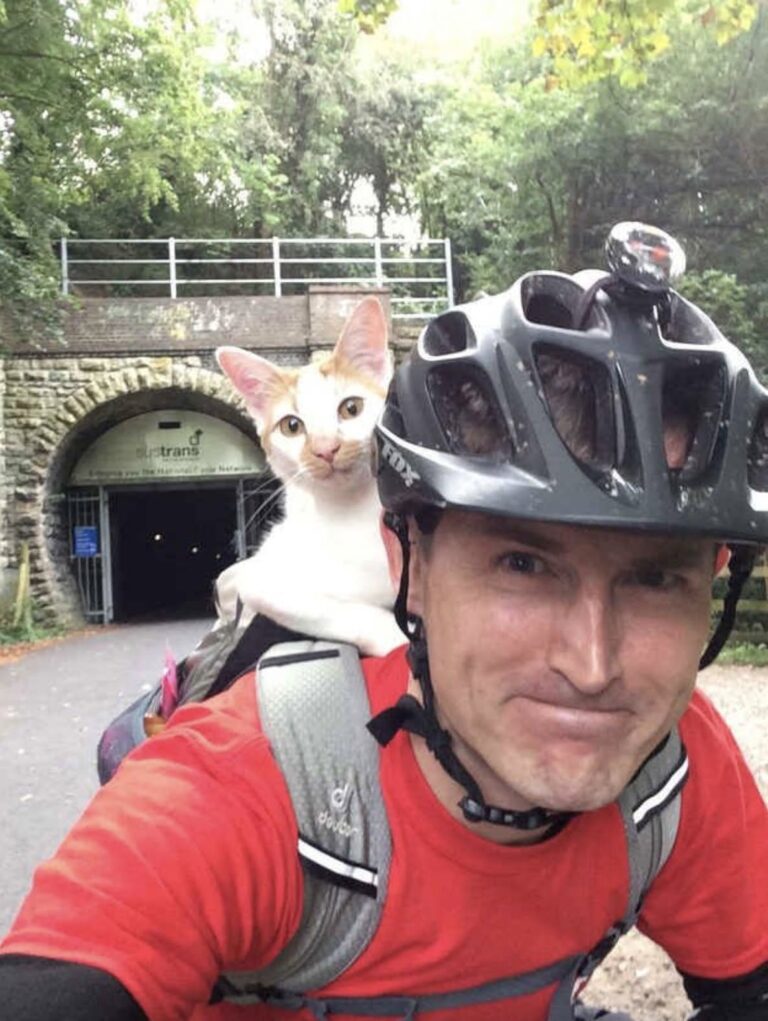Il ciclista lo raccoglie bagnato e solo, sistemandolo nella borsa con la propria giacca. Oggi il piccolo ha un imbrago e un cestino.